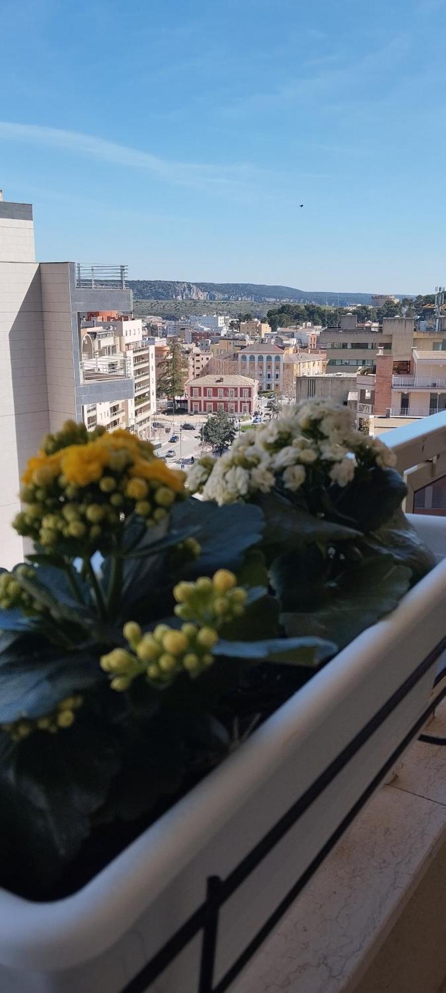 My Home ماتيرا المظهر الخارجي الصورة