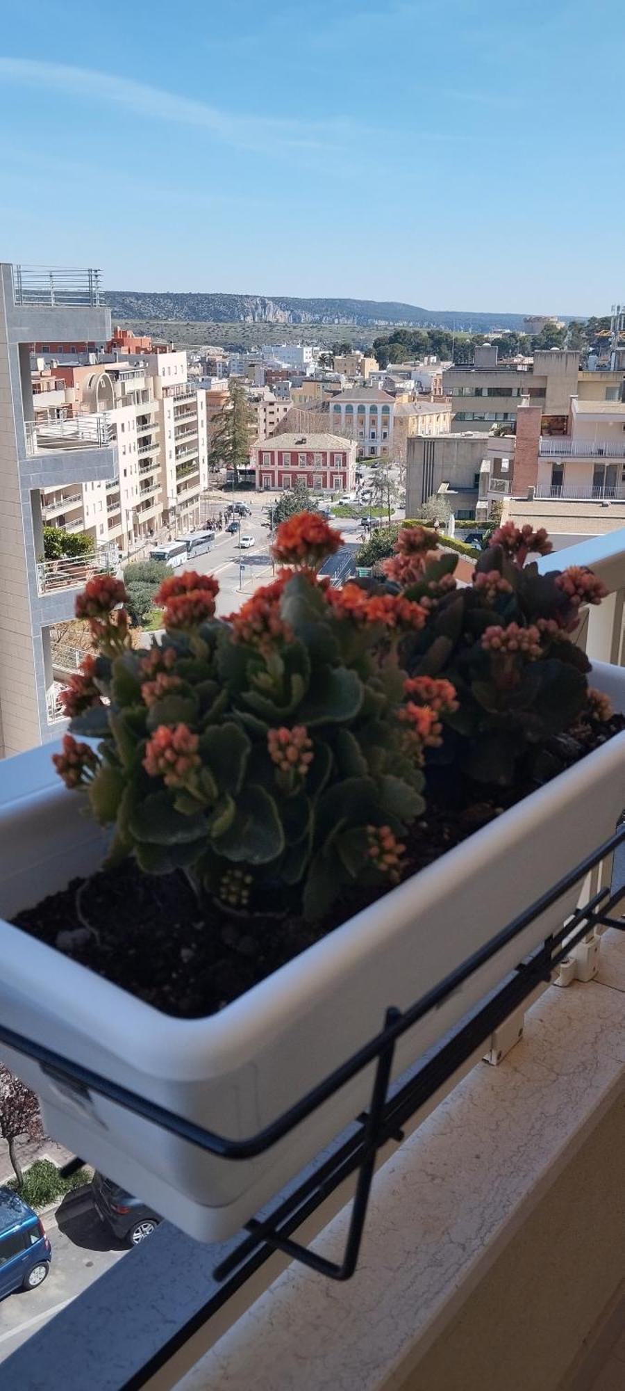 My Home ماتيرا المظهر الخارجي الصورة